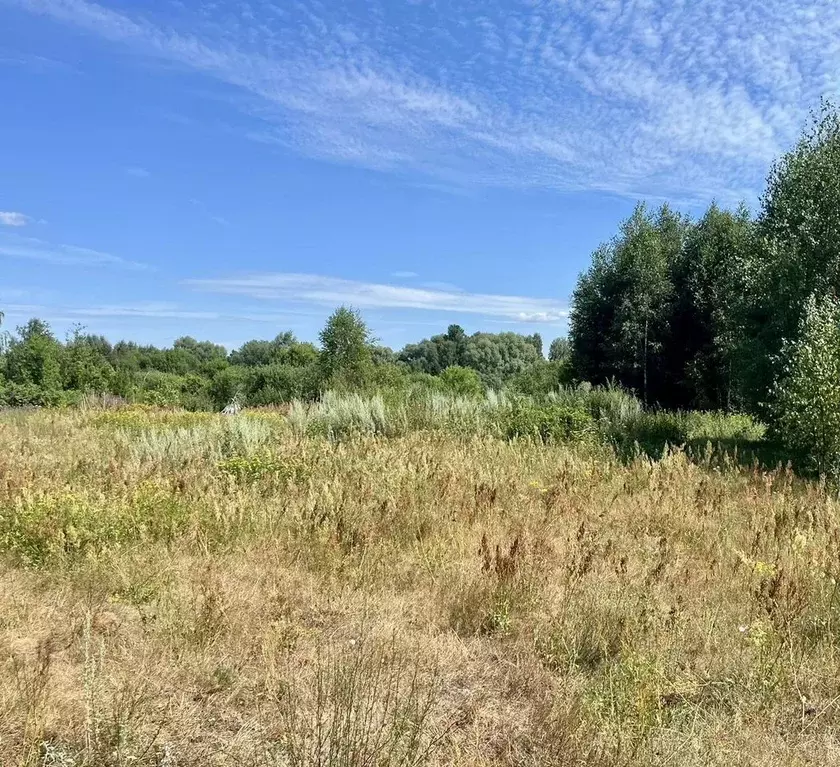 Участок в Владимирская область, Муромский район, д. Александровка ул. ... - Фото 1