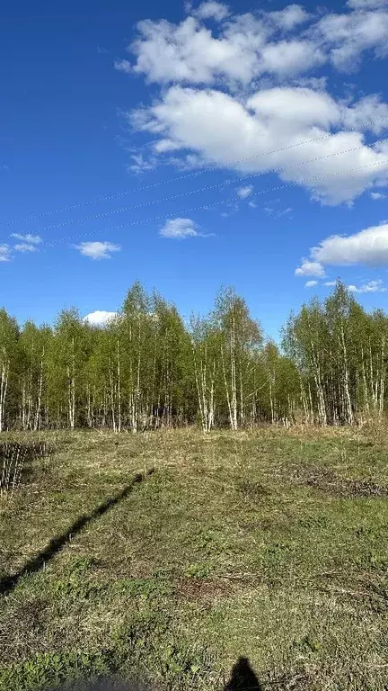 Участок в Нижегородская область, Сокольский городской округ, д. ... - Фото 1