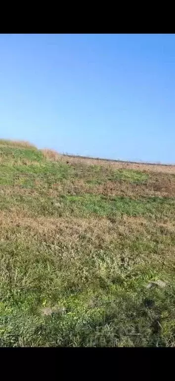 Участок в Краснодарский край, Усть-Лабинский район, Ладожское с/пос, ... - Фото 1