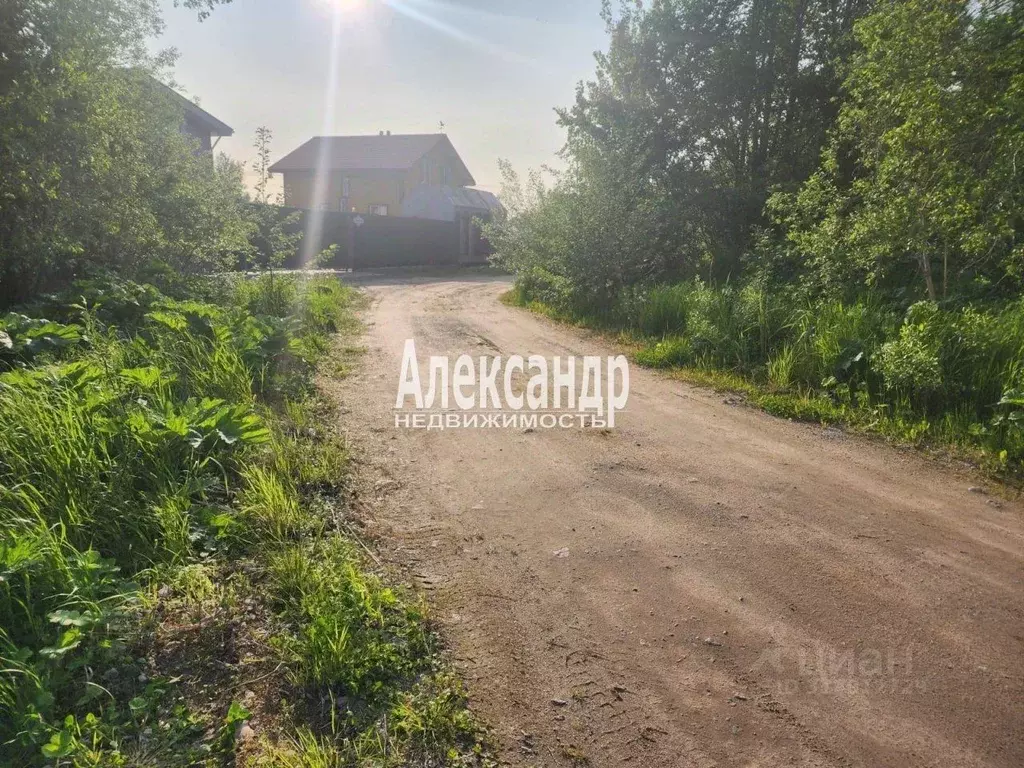 Участок в Ленинградская область, Приозерск ул. Южная, 8 (10.0 сот.) - Фото 1