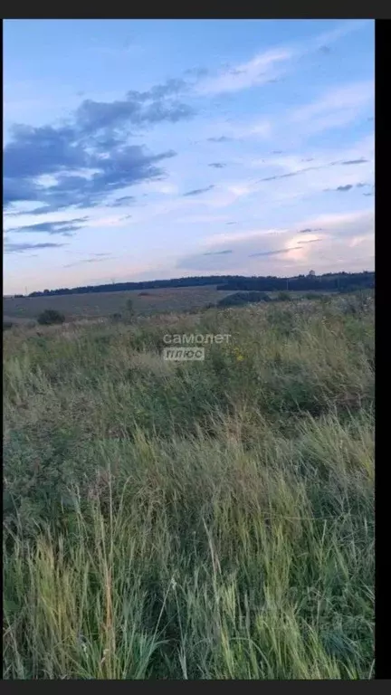 Участок в Владимирская область, Суздальский район, Павловское ... - Фото 1