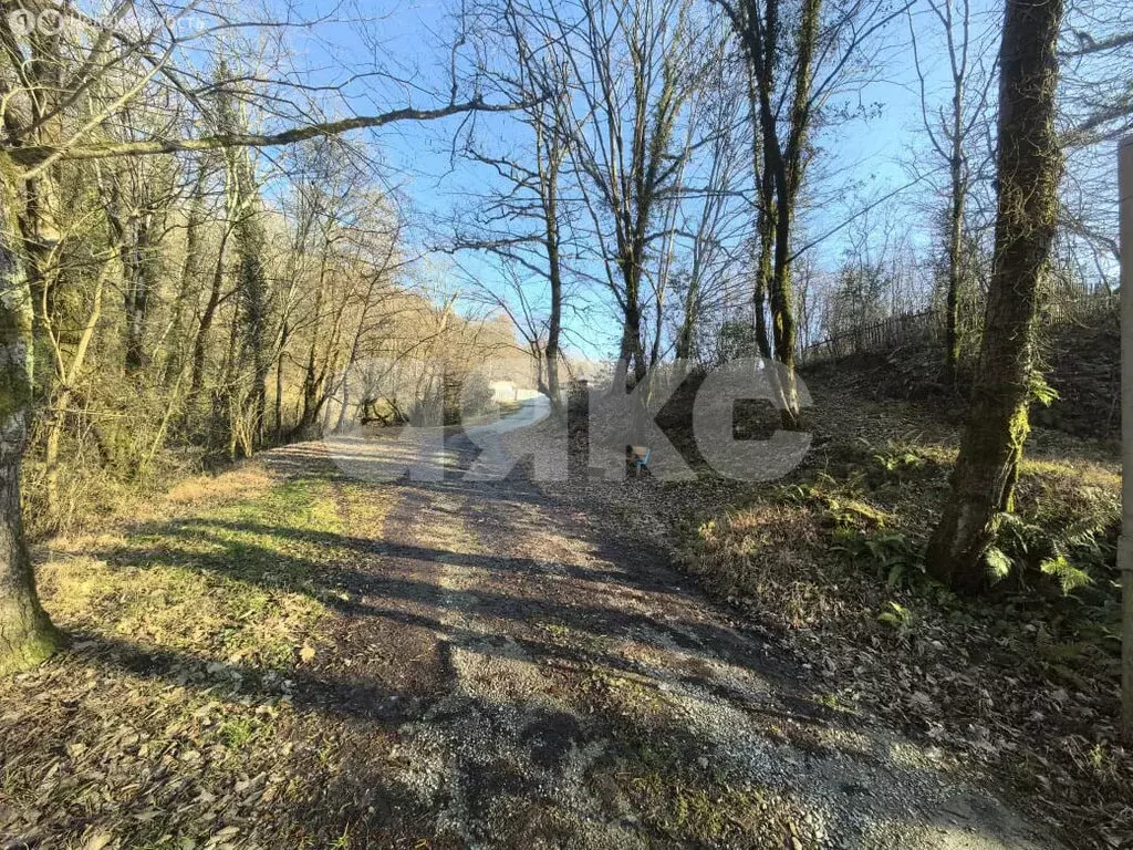 Участок в Краснодарский край, городской округ Сочи, село Волковка ... - Фото 1