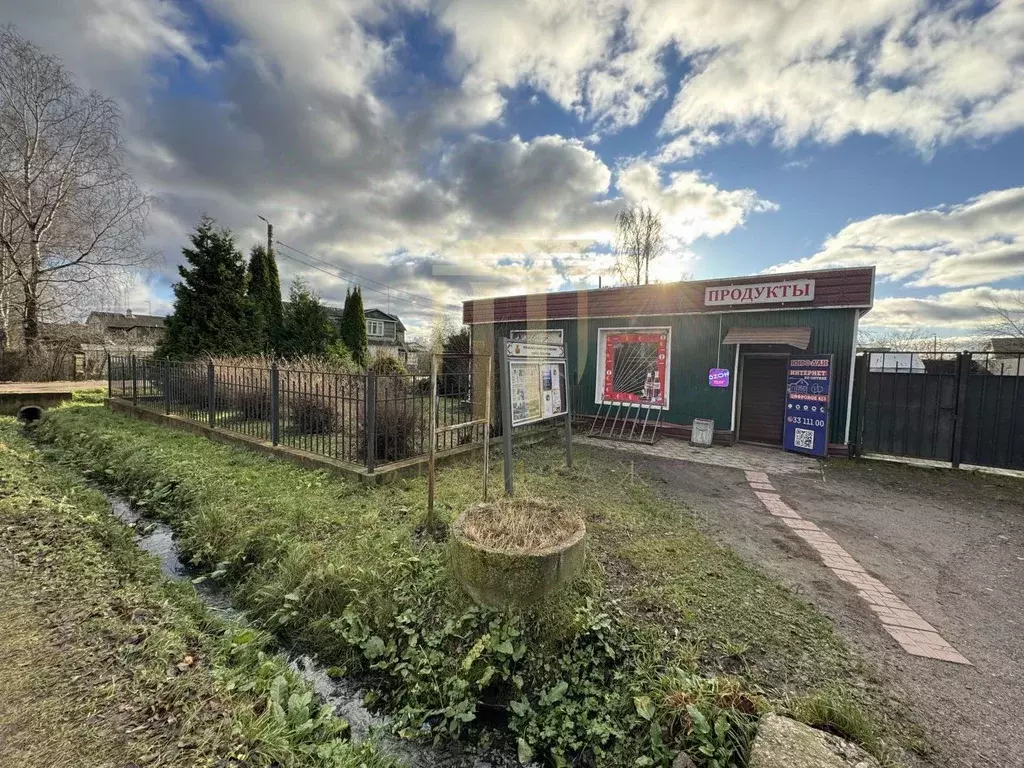 Торговая площадь в Санкт-Петербург, Санкт-Петербург, Петергоф ул. ... - Фото 1