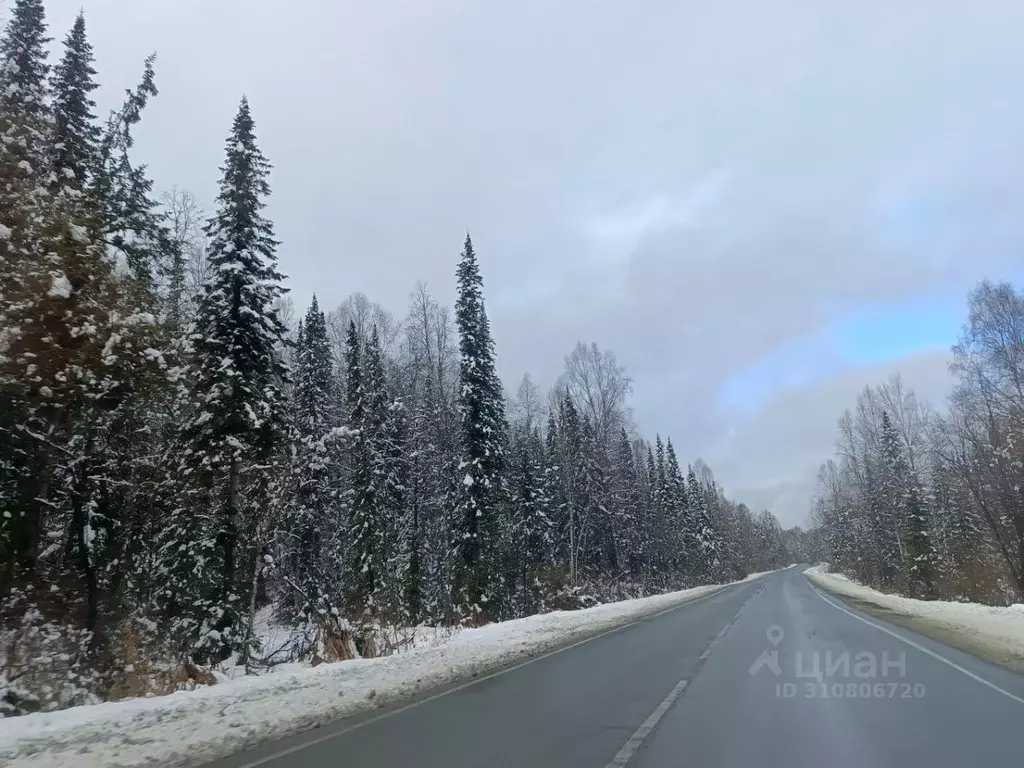 Участок в Кемеровская область, Таштагол Красногвардейская ул. (15.0 ... - Фото 0