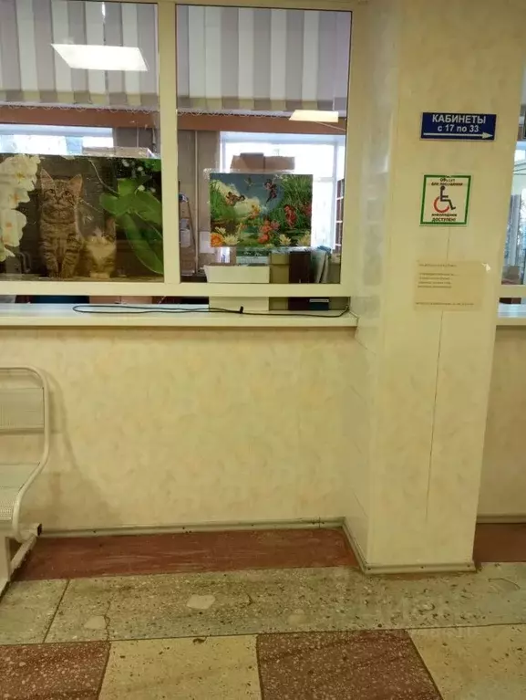 Помещение свободного назначения в Омская область, Омск Заозерный мкр, ... - Фото 1