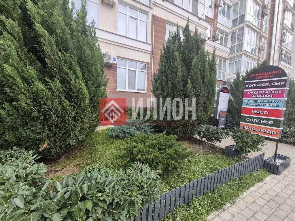 1-к кв. Севастополь ул. Челнокова, 19 (54.0 м) - Фото 2