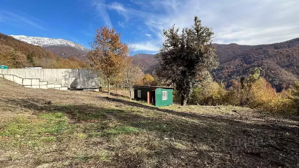 Участок в Краснодарский край, Сочи городской округ, с. Медовеевка  ... - Фото 1