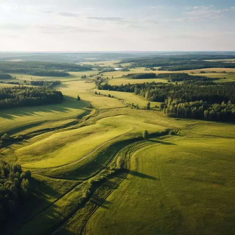 Участок в Пермский край, Ильинский муниципальный округ, Сретенский ... - Фото 2