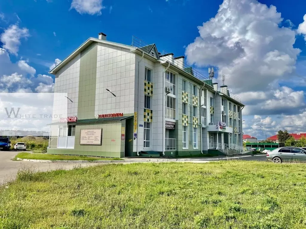 Помещение свободного назначения в Татарстан, Лаишевский район, с. ... - Фото 0