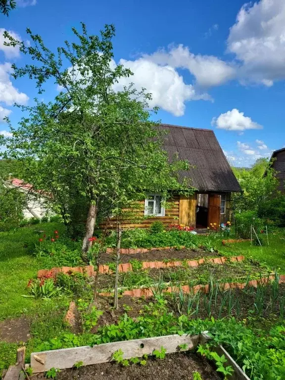 Участок в Ленинградская область, Приозерский район, Сосновское с/пос, ... - Фото 1