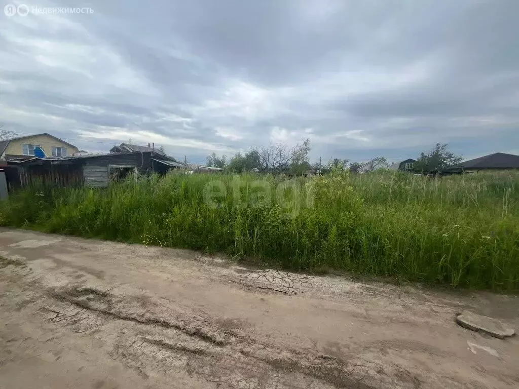 Участок в Ярославский муниципальный округ, садоводческое ... - Фото 1