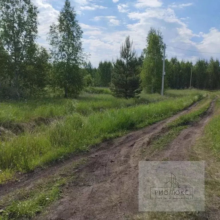 Участок в Челябинская область, Сосновский муниципальный округ, с. ... - Фото 1