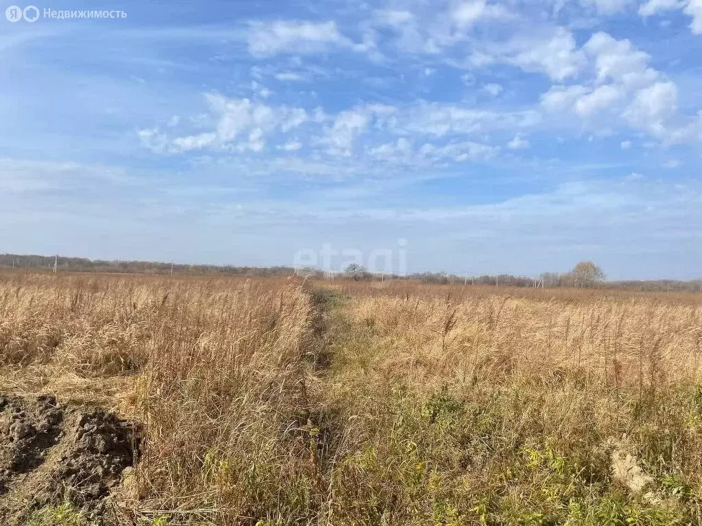 Участок в Хабаровск, Радужная улица (10 м) - Фото 1