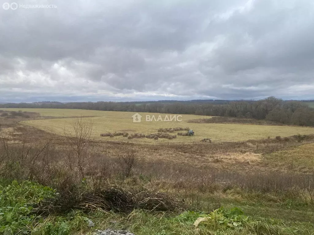 Участок в деревня Каменка, 1 (13 м) - Фото 2