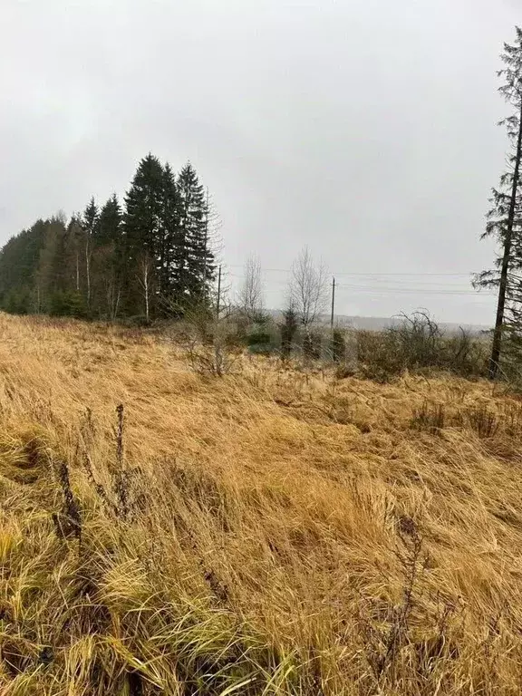 Участок в Калужская область, Боровский муниципальный округ, д. ... - Фото 2