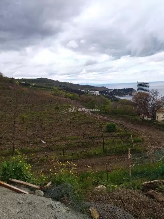 Участок в Крым, Алушта  (6.0 сот.) - Фото 2