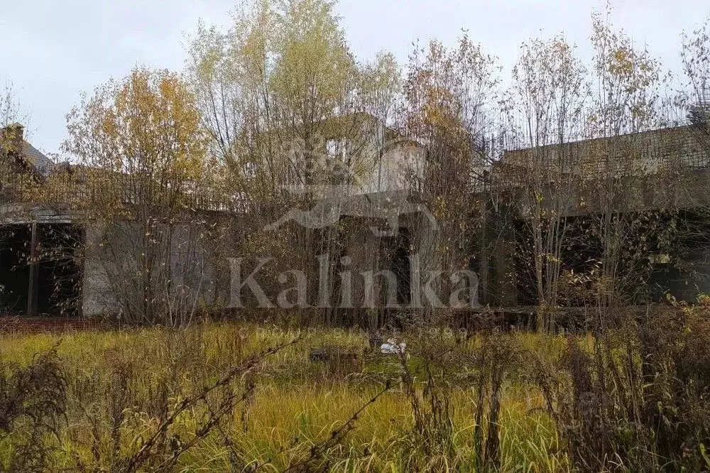 Участок в Московская область, Одинцовский городской округ, д. Шульгино ... - Фото 2