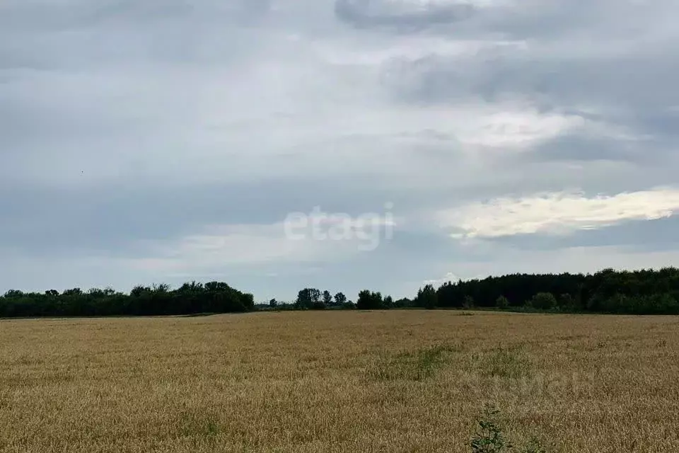 Участок в Свердловская область, Горноуральский городской округ, с. ... - Фото 1