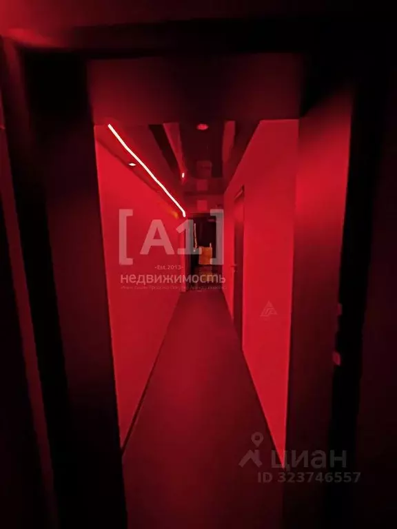 Торговая площадь в Челябинская область, Челябинск ул. Героев ... - Фото 2