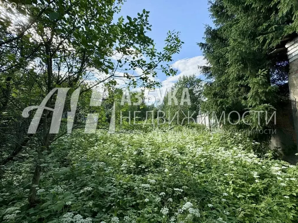 Участок в Одинцовский городской округ, село Локотня (30 м) - Фото 0