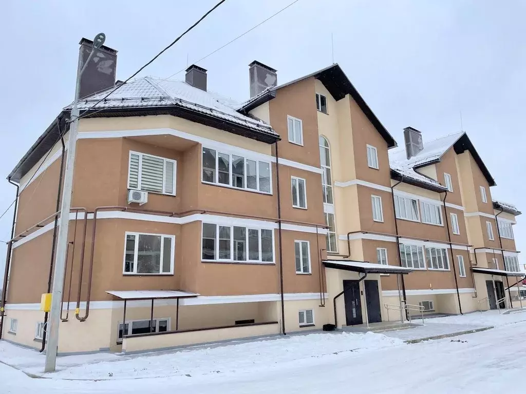 1-к кв. Московская область, Истра муниципальный округ, с. Павловская ... - Фото 1