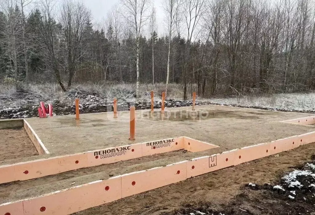 Участок в Ленинградская область, Всеволожский район, Романовское ... - Фото 1