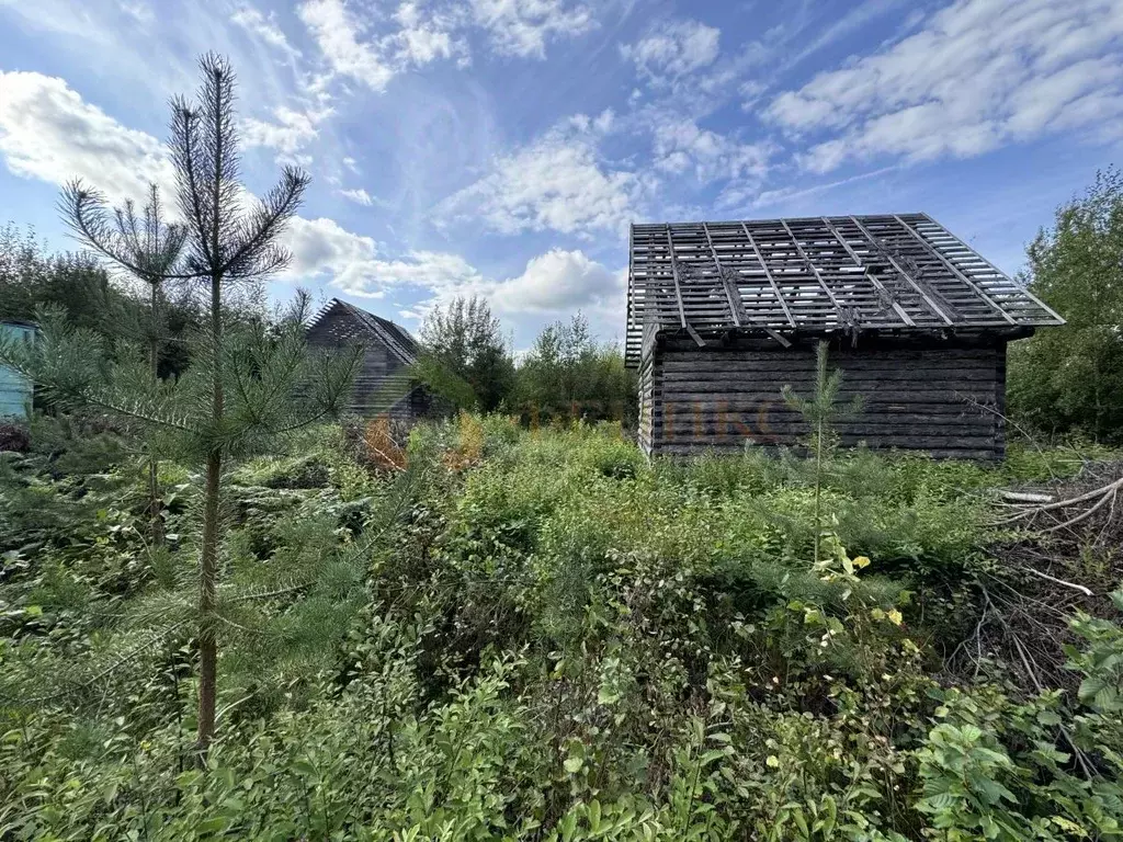 Участок в Ленинградская область, Кировский район, Мгинское городское ... - Фото 1