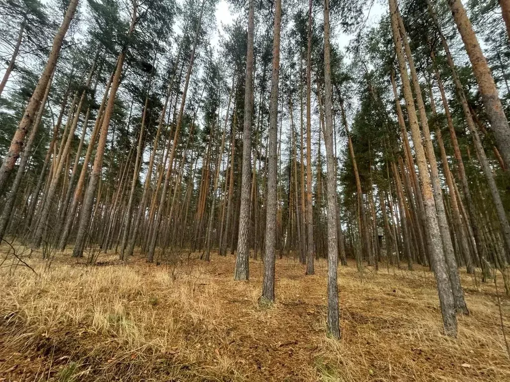 участок в тамбовская область, тамбов рассказовское ш. (28.0 сот.) - Фото 0