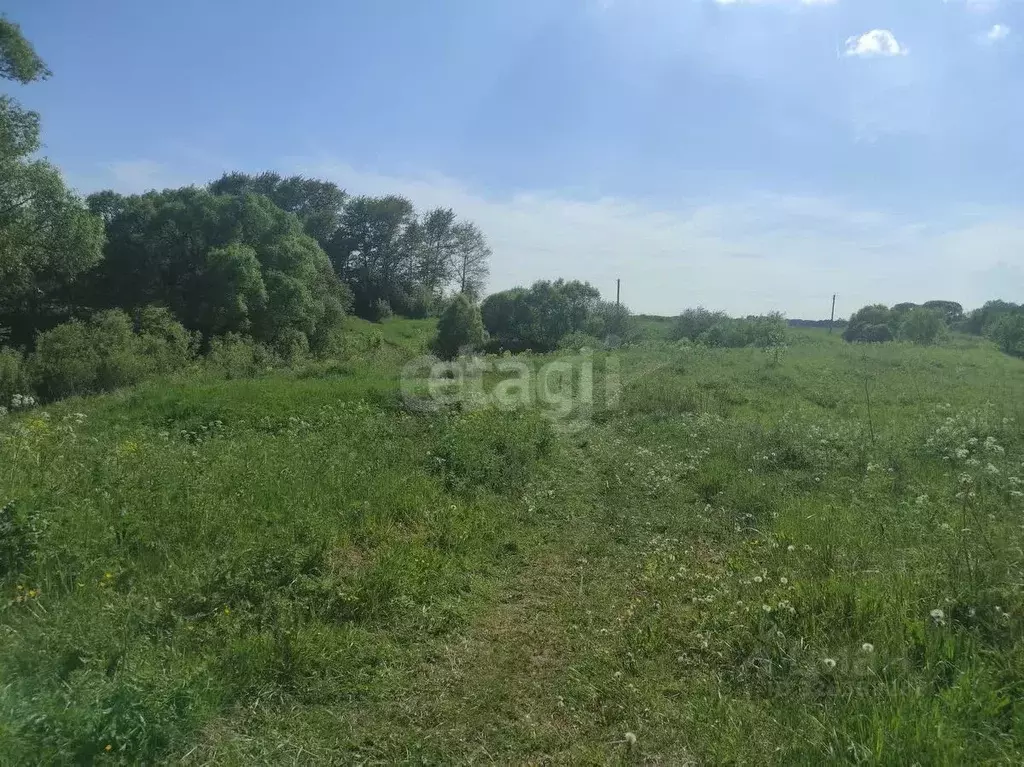 Участок в Ярославская область, Ярославский муниципальный округ, ... - Фото 1