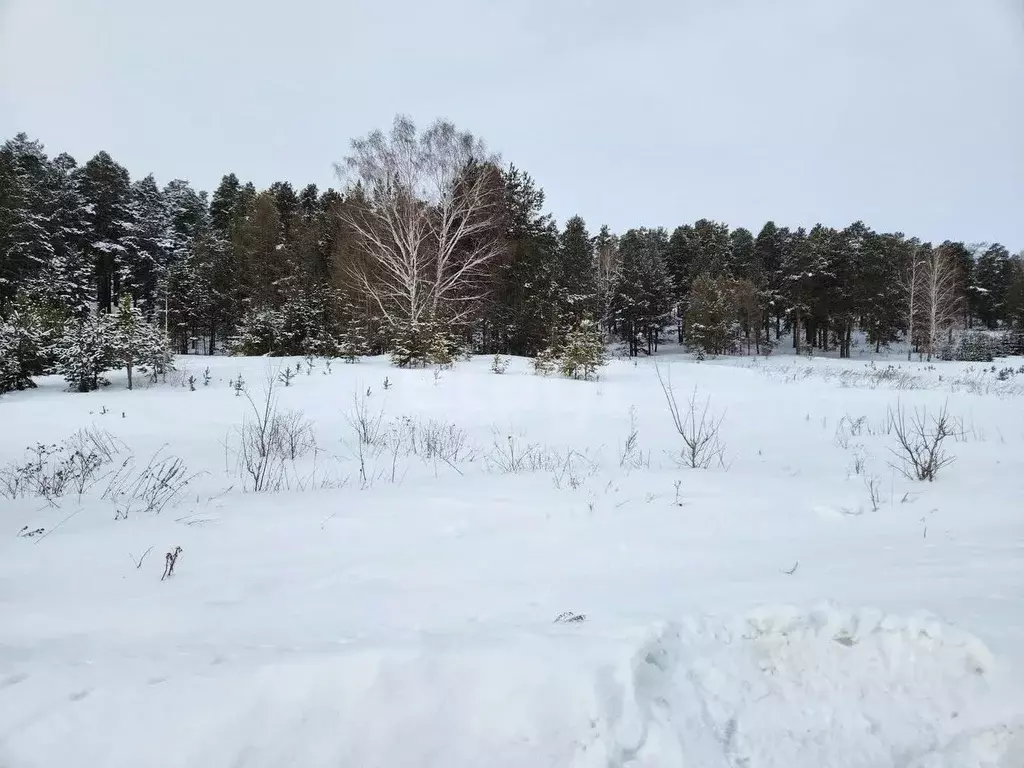 Участок в Челябинская область, Миасс ОНТ Русское Поле,  (102.0 сот.) - Фото 1