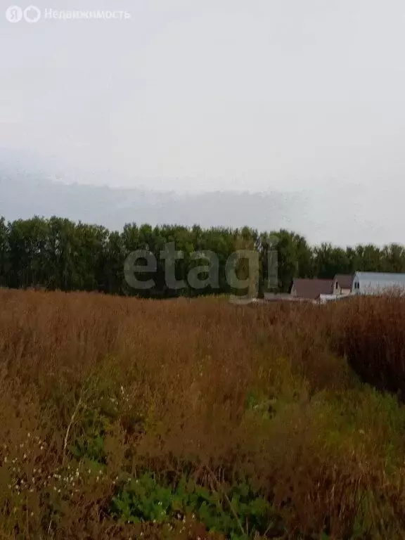 Участок в Тюменская область, Ишимский муниципальный округ, ... - Фото 1