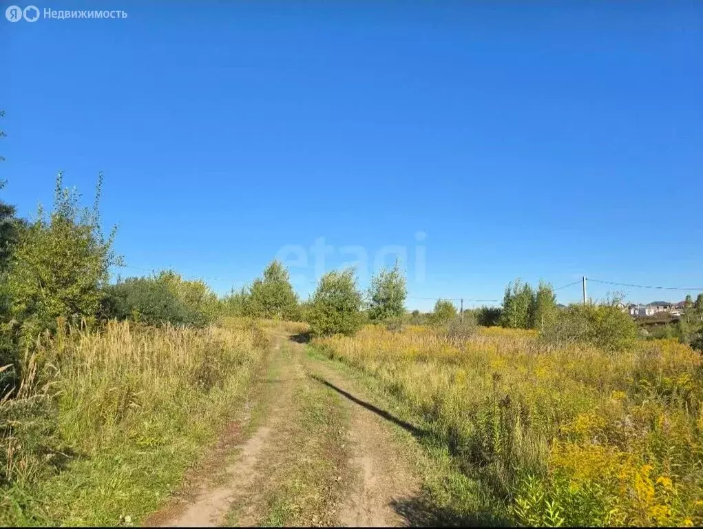 Участок в деревня Добрунь, садоводческое некоммерческое товарищество ... - Фото 1