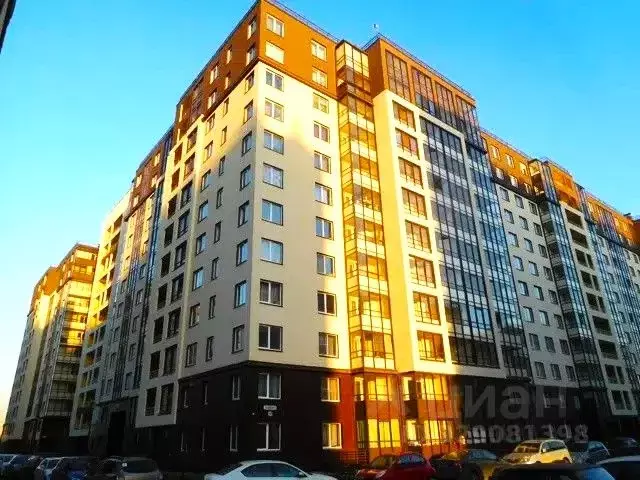 Студия Санкт-Петербург просп. Ветеранов, 169к2 (24.0 м) - Фото 1