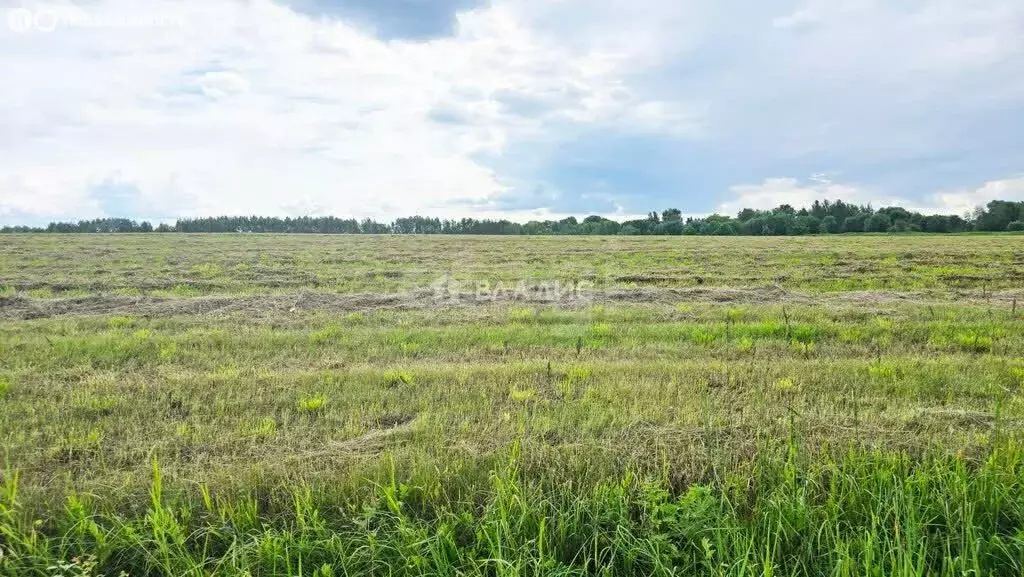Участок в Ульяновская область, Старомайнский муниципальный округ, СНТ ... - Фото 2