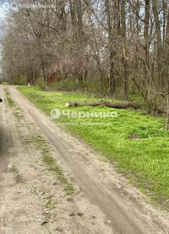 Участок в Старостаничное сельское поселение, садоводческое ... - Фото 2