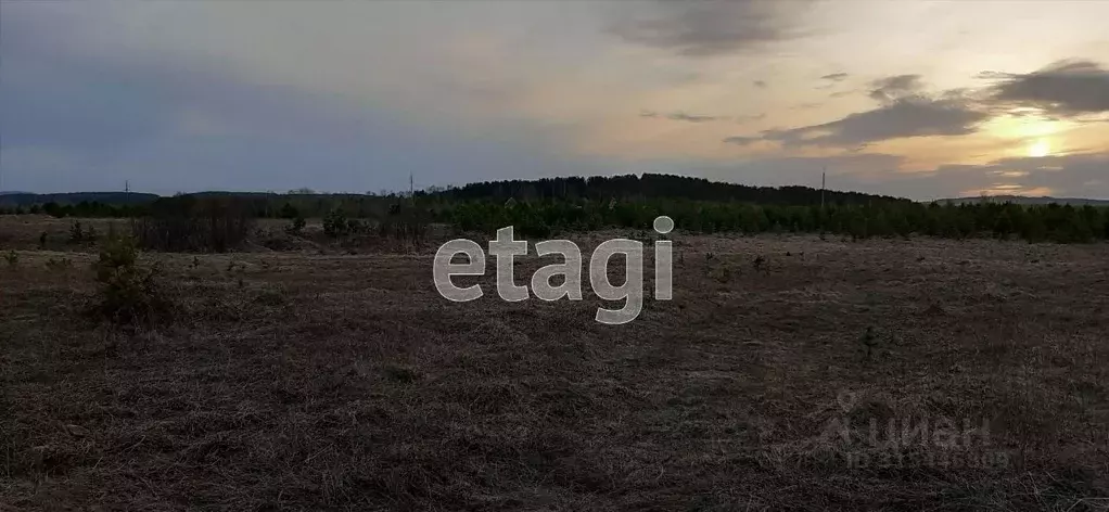 Участок в Свердловская область, Нижний Тагил ул. 1-я Звездная (10.0 ... - Фото 0