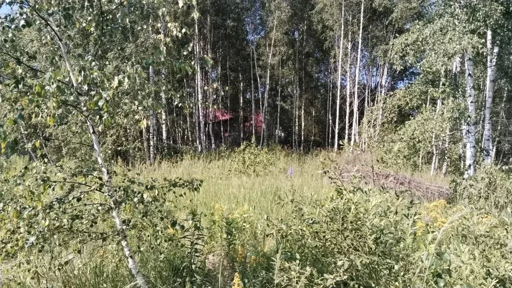 Участок в Тульская область, Заокский район, Демидовское с/пос, ... - Фото 2