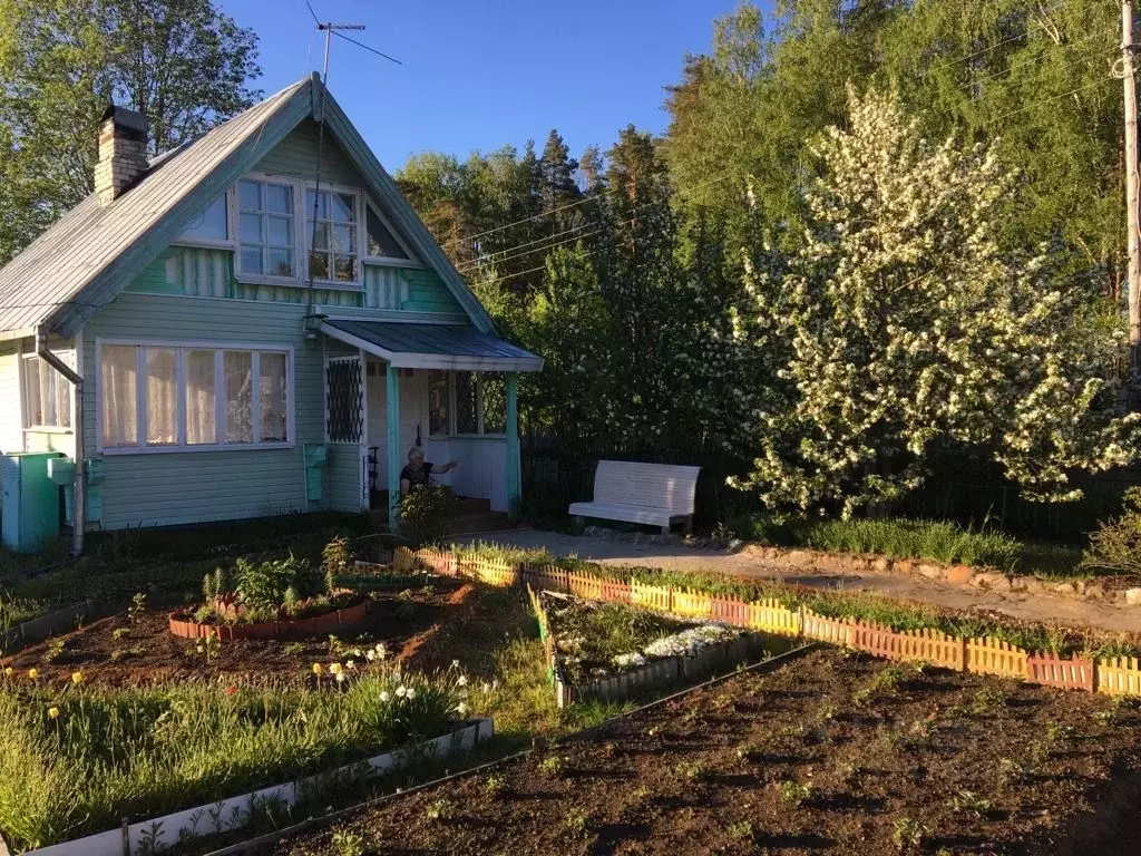 Дом в Карелия, Лахденпохский муниципальный округ, Ромашка СНТ  (50 м) - Фото 2