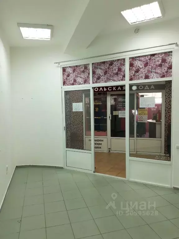 Помещение свободного назначения в Краснодарский край, Анапа ул. ... - Фото 1