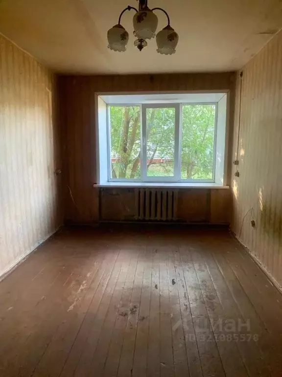 1-к кв. Брянская область, Климово рп, Квартал мкр 24 (28.9 м) - Фото 1