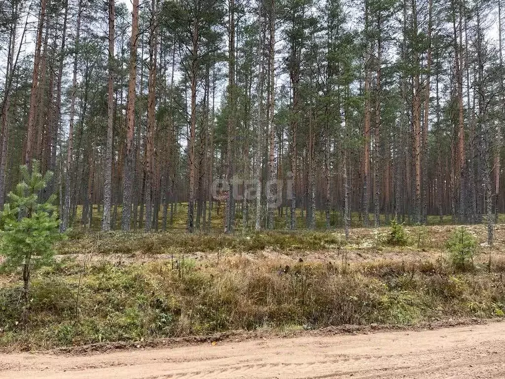 Участок в Псковская область, Гдовский район, Добручинская волость, д. ... - Фото 1