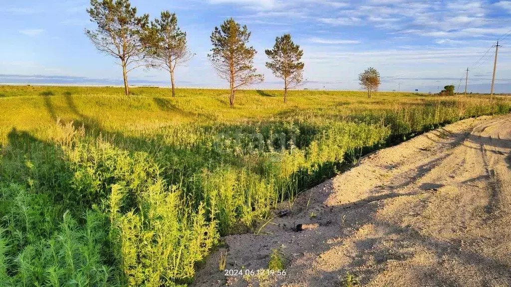Участок в Амурская область, Благовещенский район, с. Новотроицкое ул. ... - Фото 2