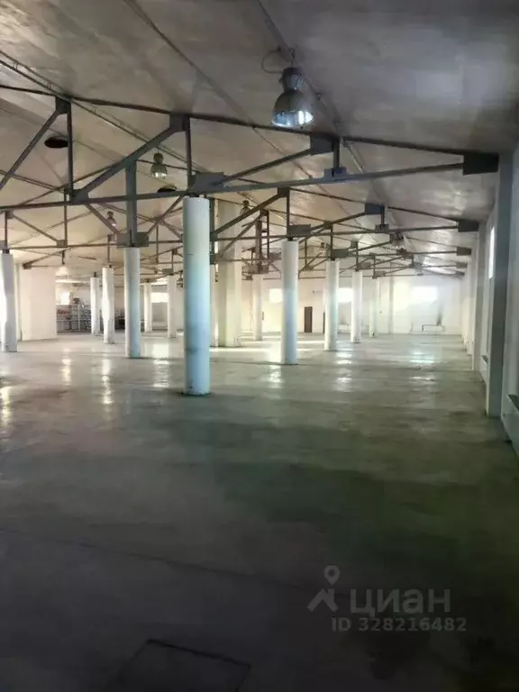 Склад в Московская область, Мытищи городской округ, д. Грибки пер. ... - Фото 1