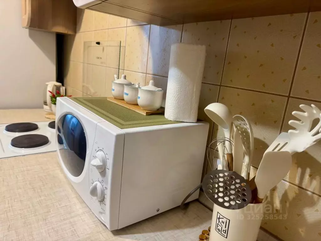 2-к кв. Алтайский край, Барнаул Балтийская ул., 19 (60.0 м) - Фото 2