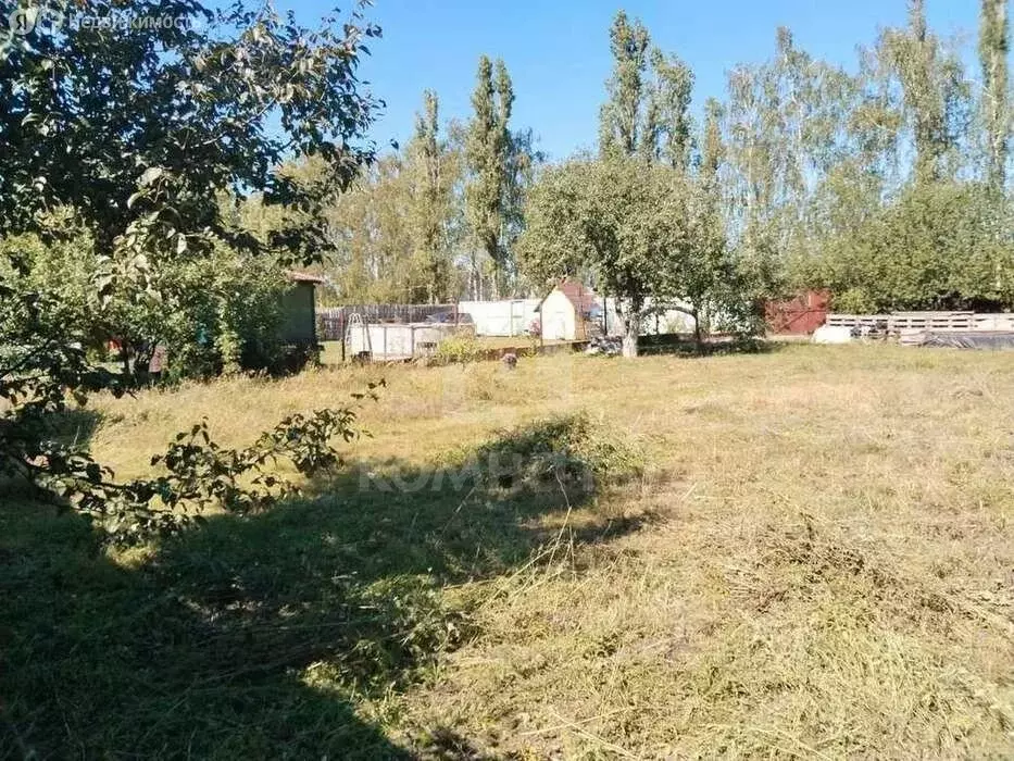 Дом в Воронеж, СНТ Дружба, 841 (55 м) - Фото 2