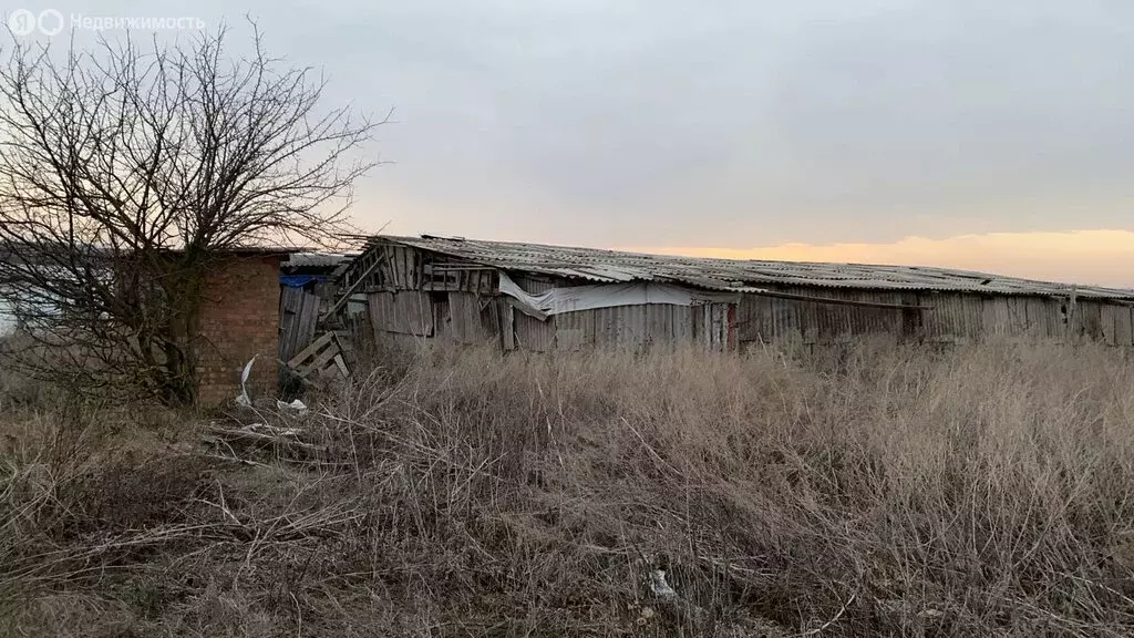 Участок в Родионово-Несветайский район, хутор Волошино (50 м) - Фото 1