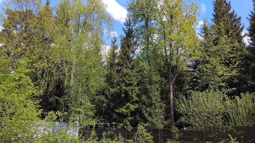 Участок в Московская область, Одинцовский городской округ, пос. ... - Фото 0