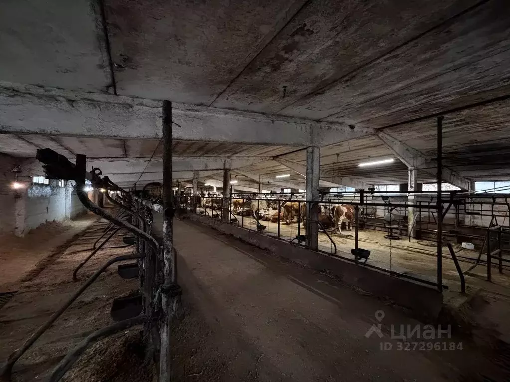 Помещение свободного назначения в Московская область, Наро-Фоминский ... - Фото 1