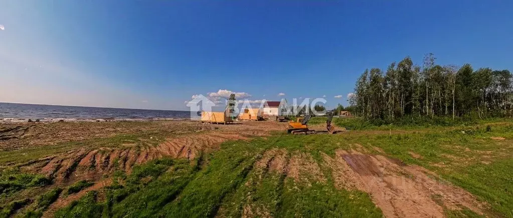 Участок в Ярославская область, Рыбинский муниципальный округ, д. ... - Фото 0