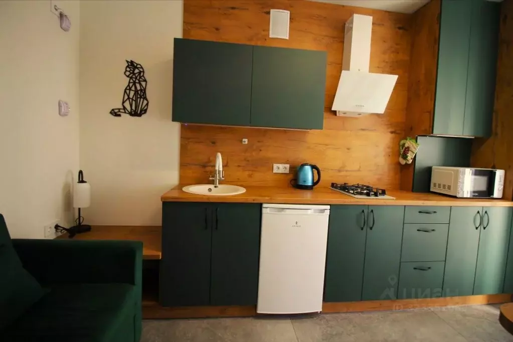 1-к кв. Калининградская область, Пионерский ул. Гептнера, 15 (22.0 м) - Фото 2